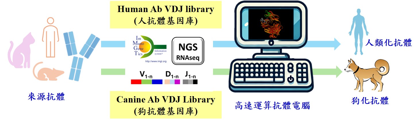 跨物種抗體轉化抗體平台 中文