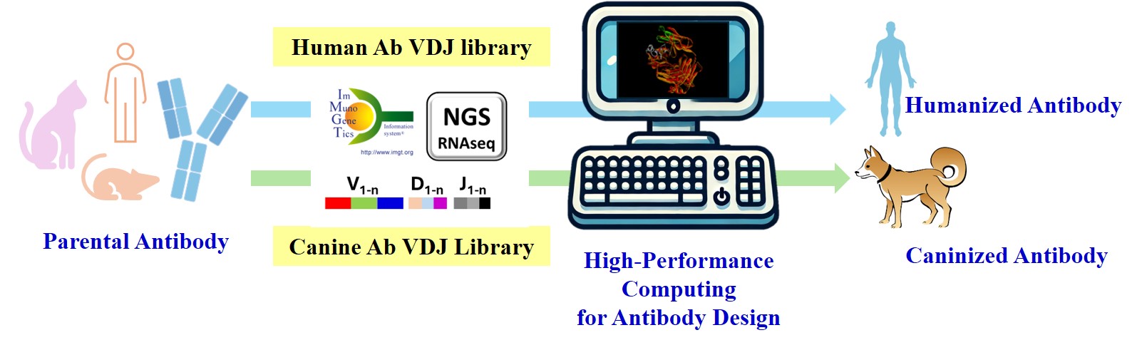 跨物種抗體轉化抗體平台 英文
