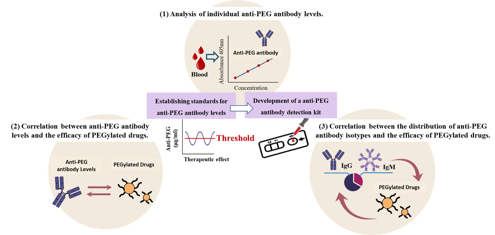 長效蛋白定性與定量系統 英文